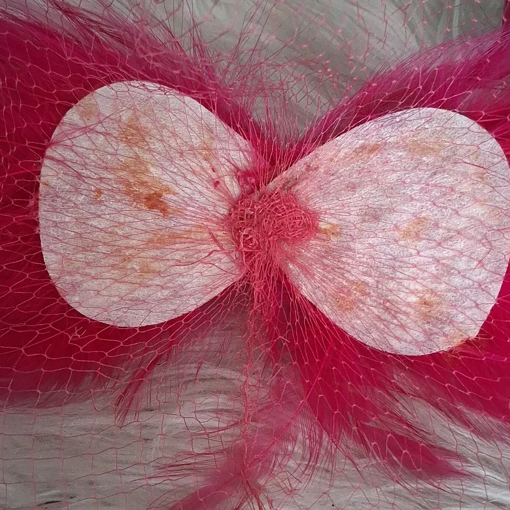 Cute Fascinator With Mrsh